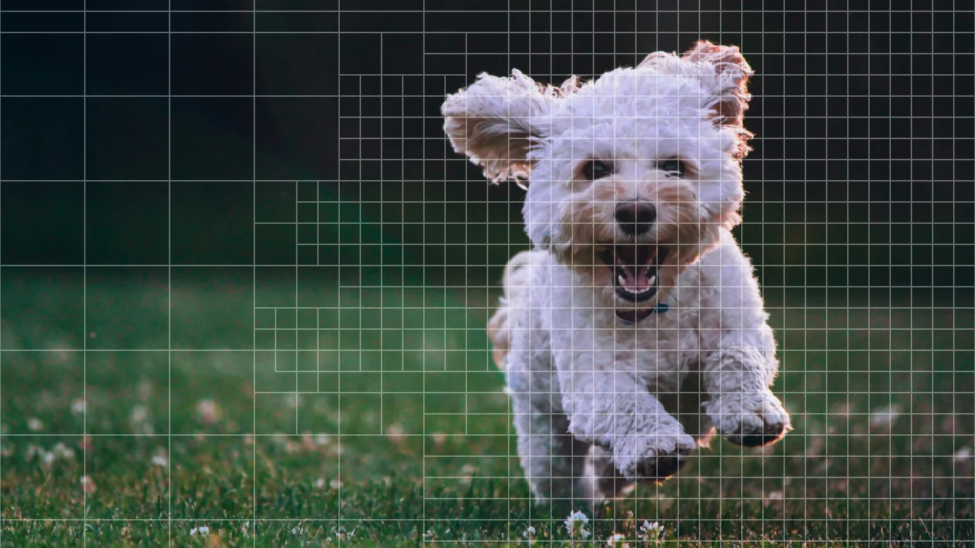 A video frame under a macroblock grid: H.265 needs fewer and larger blocks than H.264