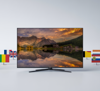 IPTV for diasporas: the role of localized content