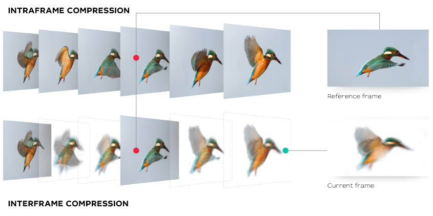 What video codecs are for