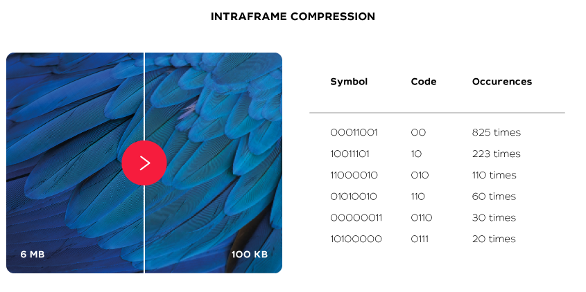 Que sont les codecs vidéo et à quoi servent-ils ?